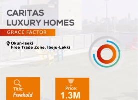 Caritas Luxury Homes Grace Factor